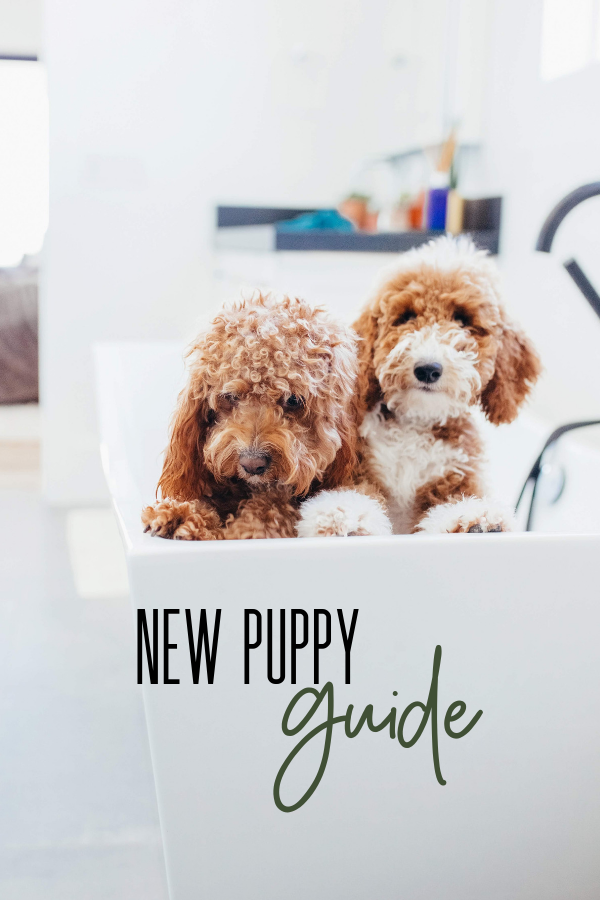 New Puppy Guide