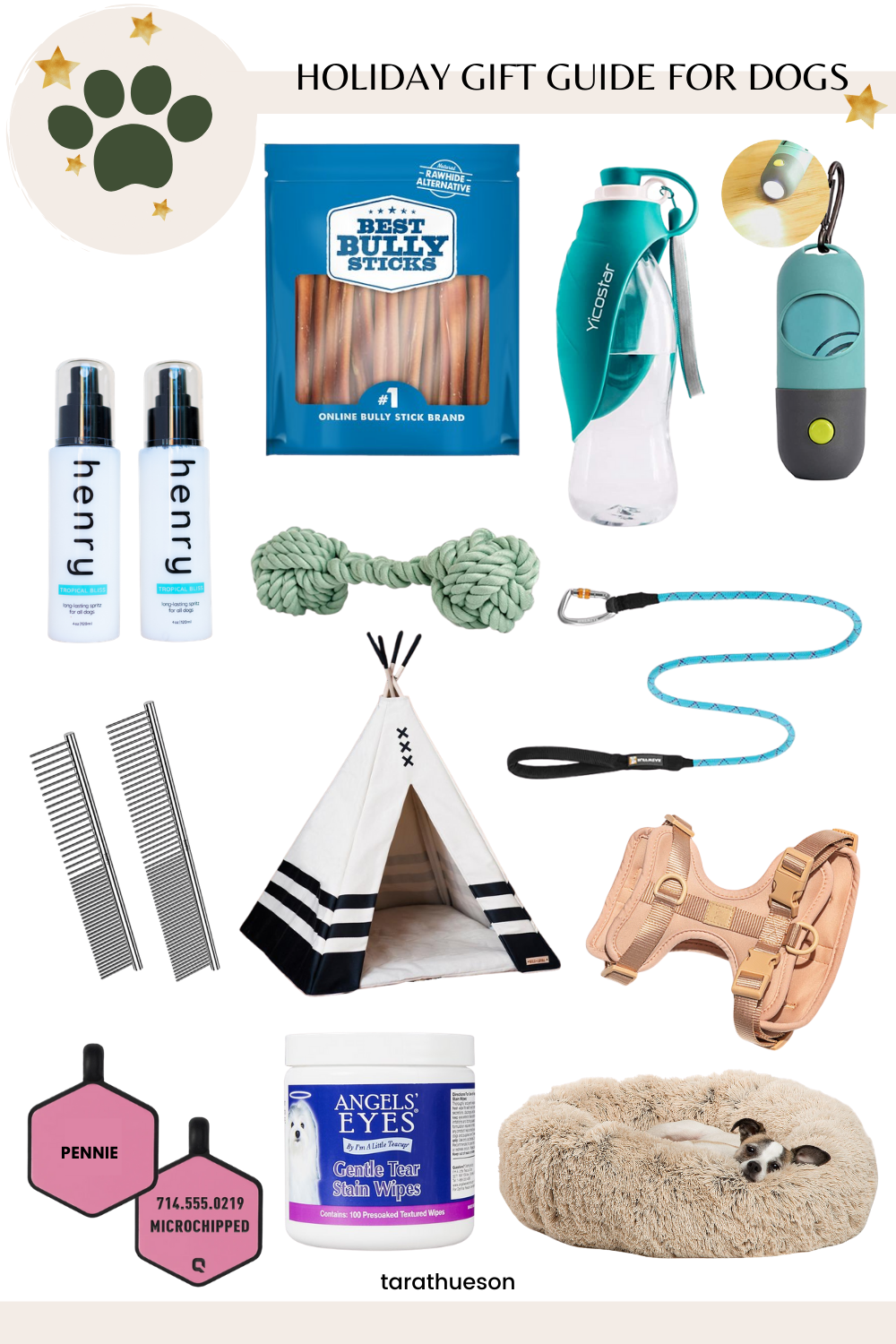 Gift Guide for Puppies: The Perfect Holiday Presents for Your Puppy