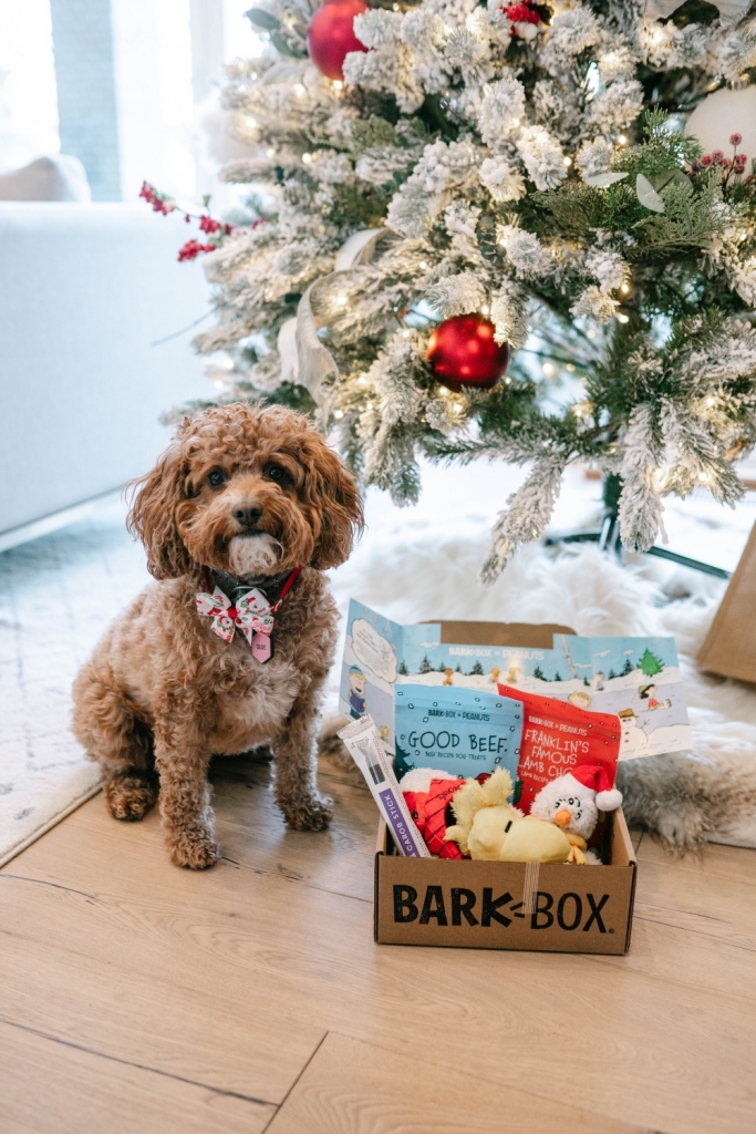 Christmas Gifting with BarkBox Tara Thueson