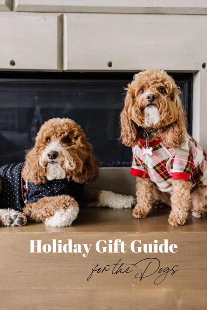 Holiday Gift Guide for Dogs 2021