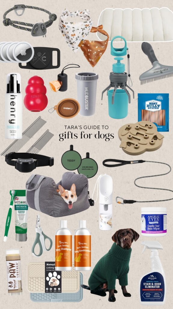 Holiday Gift Guide for Dogs – 2023