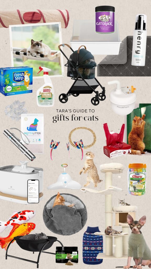 Holiday Gift Guide for the Cats – 2023
