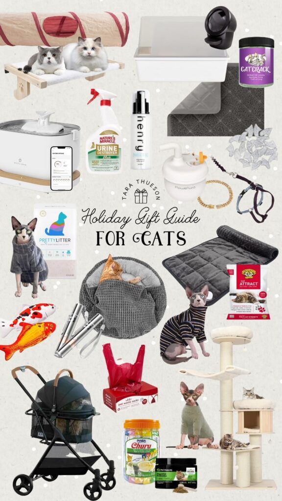 Holiday Gift Guide for Cats – 2024