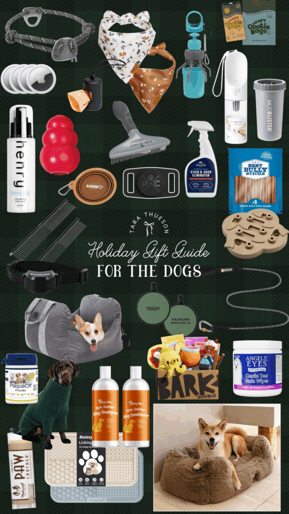 Holiday Gift Guide for Dogs – 2025