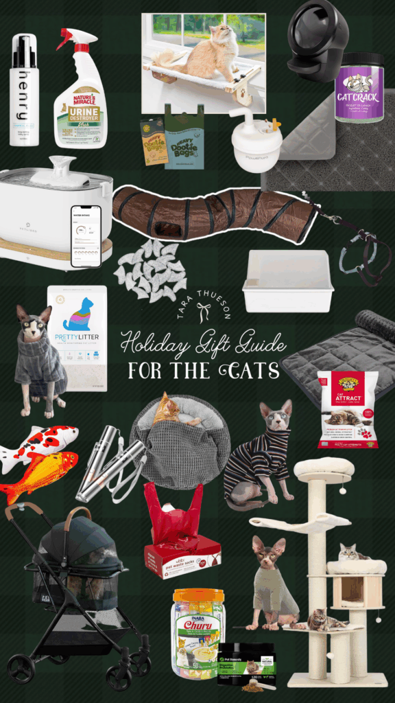 Holiday Gift Guide for Cats – 2025